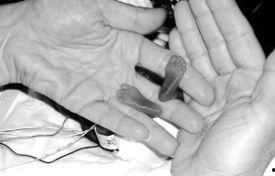 艾米利亚的孩子,成长中的希望与挑战